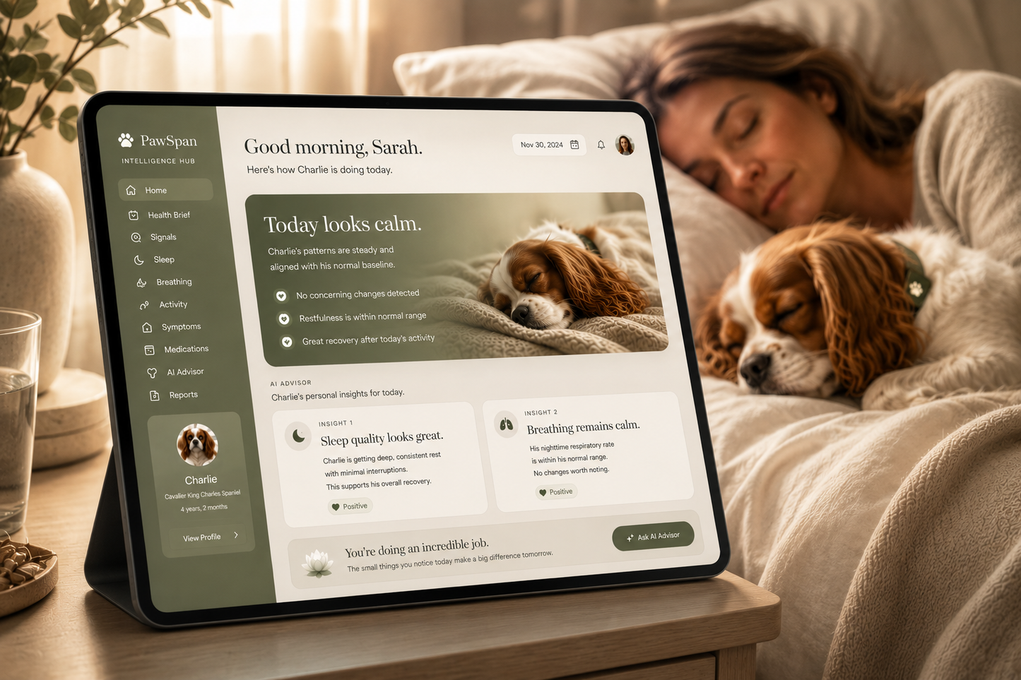 Tier 1: Pawspan Essentials System | Pawspan Intelligence Hub